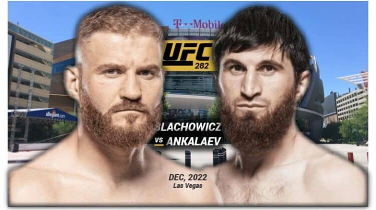 How to Watch UFC 282 Blachowicz vs Ankalaev Free on Firestick